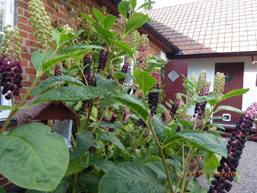Akarpsvaegen Vacation Home Trelleborg Εξωτερικό φωτογραφία